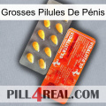 Grosses Pilules De Pénis new01
